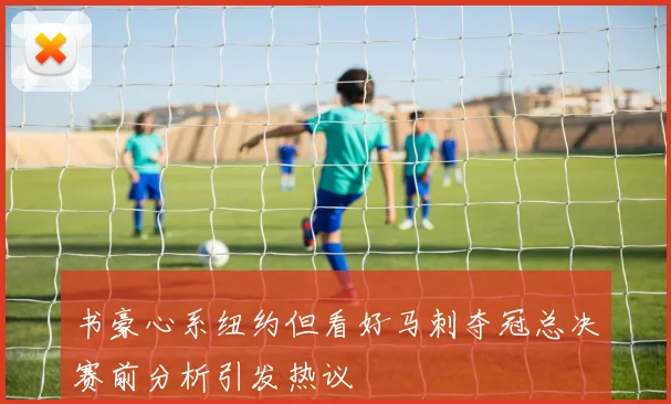书豪心系纽约但看好马刺夺冠总决赛前分析引发热议
